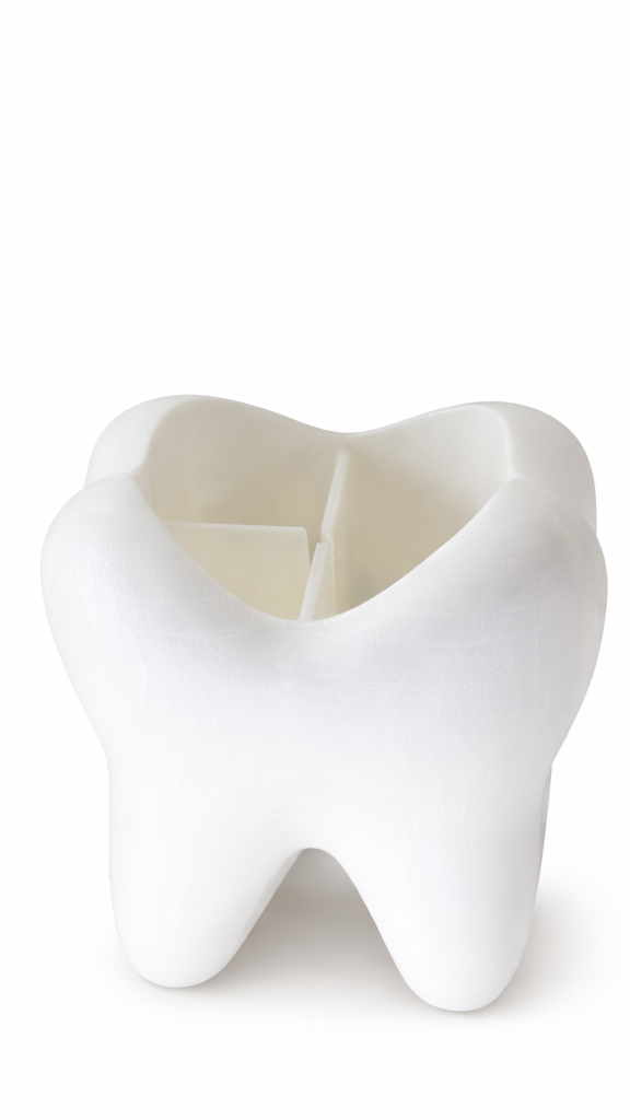 Tooth cup - Image 2